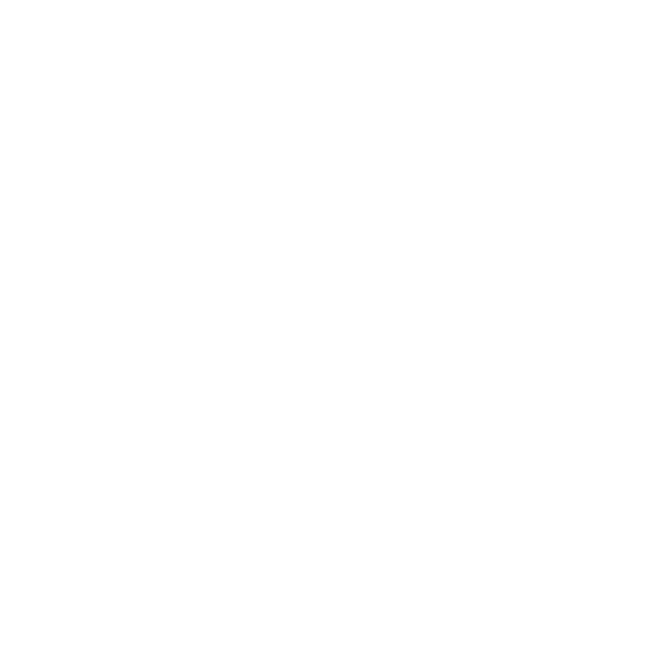 Social & Wellness Programs